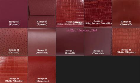 rouge h hermes color